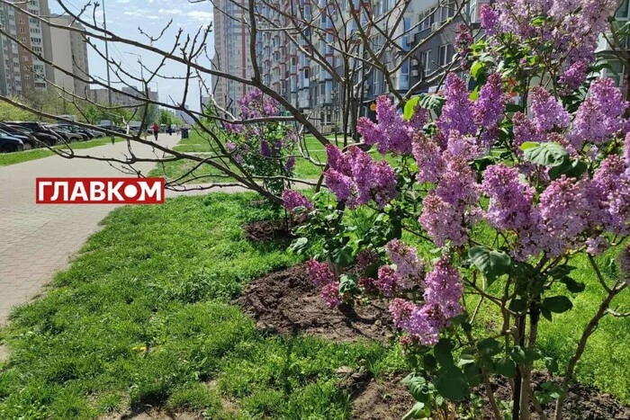 В Україні хмарно з проясненнями: прогноз погоди на 11 травня