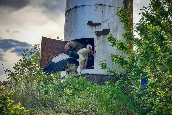 In Tschernihiv retteten die Rettungsdienste Störche, die in eine Falle geraten waren (Foto)