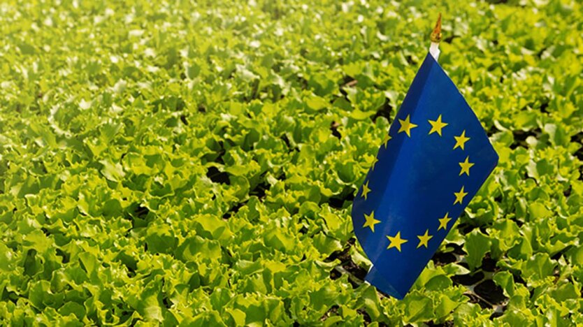 UE może podnieść cła na import z Ukrainy: FT poznało szczegóły