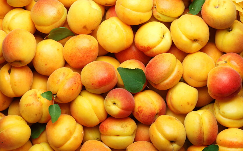Vergessen Sie die billigen Aprikosen: Was wird mit den Preisen für Obst und Beeren in der Ukraine passieren?