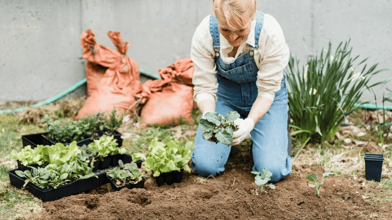 In the Sun or in Full Shade — What and Where to Plant in the Garden